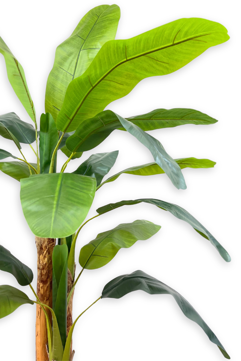 Kunstplant Bananenboom