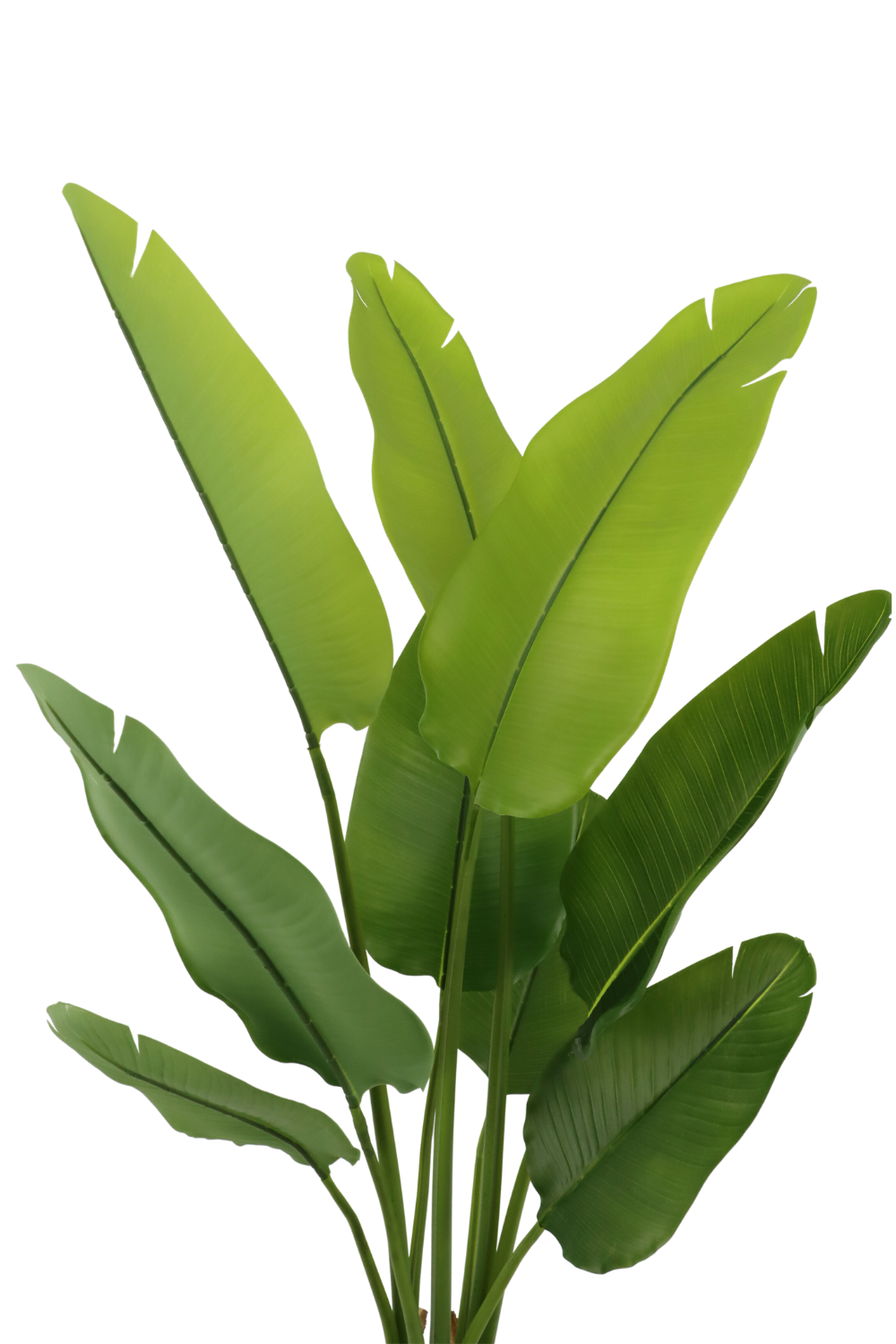 Kunstplant Strelitzia 120 cm